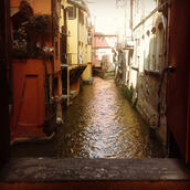 A small window overlooking a canal in Bologna.